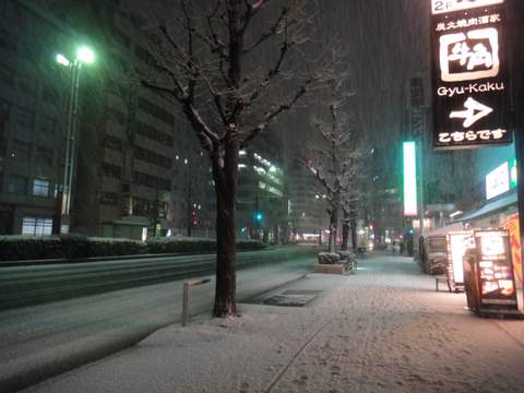 東京　積雪